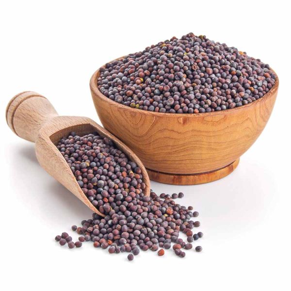 MUSTARD SEEDS